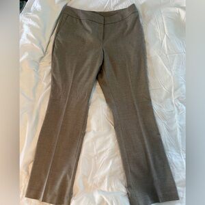 Ann Taylor Women's Tailored Bootcut Dress Pants - Taupe